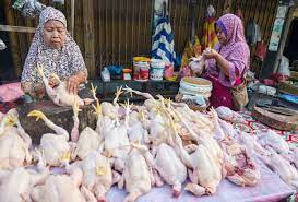 Harga Ayam Potong Melambung Hingga Rp34.000/kg di Pekanbaru